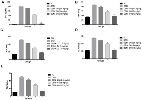 Figure 3 Effect of curcumae on the hepatic parameters of obesity-induced hepatocellular carcinoma in rats. (A) AFP, (B) AST, (C) ALT, (D) ALP and (E) ACP. Tested group rats were compared with the DEN control group rats. *P<0.05, **P<0.01 and ***P<0.001 were considered as significant, more significant and extreme significant, respectively.