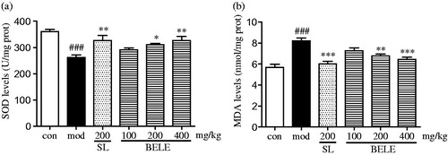 Figure 3. Effects of BELE on the hepatic SOD (a) content and MDA (b) activity. ###p < 0.001 versus the vehicle-control group (control); *p < 0.05, **p < 0.01, and ***p < 0.001 versus vehicle with the CCl4 group (model).