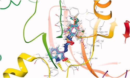 Figure 3. The molecular docking of ligands 6a–l within the active site of EGFR.