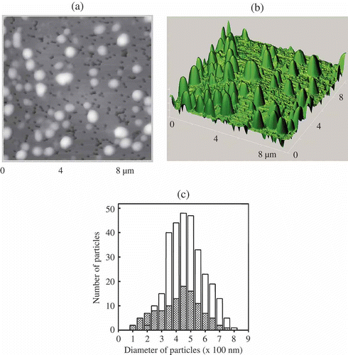 Figure 8. The AFM images of NaCs formed by ds DNA CLCD particles cross-linked by nanobridges and immobilised onto the surface of the nuclear membrane filter (two-dimensional and 3D images, (a) and (b), respectively); the dark spots are ‘pores’ in the filter, polyethylene terephthalate (PETP); (c) size distribution of the DNA NaCs in two sets of experiments. The images were taken by Smart SPM produced by AIST-NT (Zelenorgad, Russia).