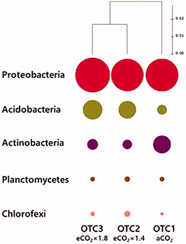 Figure 3. Similarity of phylogenetic diversity at the phylum level (97% sequence similarity) for bacterial communities. The hierarchical relationship was obtained via the unweighted pair group method with arithmetic mean (UPGMA) clustering dendrogram. OTC1: elevated CO2 level as 1.4x (approximately 560 ppm), OTC2: elevated CO2 level as 1.8x (approximately 680 ppm), and OTC3: ambient CO2 level (approximately 380 ppm).