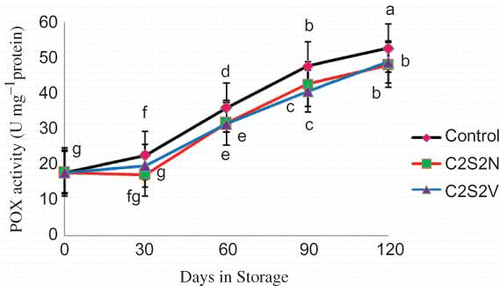 FIGURE 5 Effect of 2% CaCl2 in combination with 2 mM spermidine by normal dip and vacuum infiltration methods on changes in POX activity of pomegranate fruit during storage at 2°C. Each value is the mean of three replicate samples ±S.E. Values labeled with the same letters are not different at the 5% level (color figure available online).