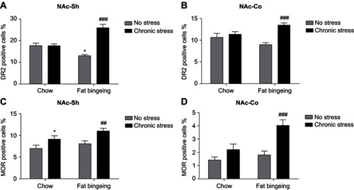 Figure 15 MOR and DR2 expression in the nucleus accumbens (NAcc). (A) Fat bingeing feeding decreased DR2 in NAc-shell but chronic stress increased DR2 of NAc-shell in fat-bingeing feeding mice. (B) Chronic stress increased DR2 of NAc-core in fat-bingeing feeding mice. (C) Chronic stress increased MOR of NAc-shell both in chow food feeding mice and fat-bingeing feeding mice. (D) Chronic stress increased MOR of NAc core in fat-bingeing feeding mice. *denotes significant differences in daily food intake between the fat-bingeing group and chow group, and # denotes significant differences between the fat-bingeing group and chronic stress/fat-bingeing group (*P<0.05, ##P<0.01; ###P<0.001).Abbreviations: NAc-shell, nucleus accumbens shell; NAc-core, nucleus accumbens core; DR2, dopamine receptor 2; MOR, mu-opioid receptor.