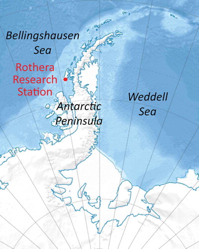 Figure 2. Location of Rothera Station (67° 34’S, 68° 08ʹW). (Modified from a map by Kikos, CC BY-SA 3.0, https://creativecommons.org/licenses/by-sa/3.0, from Wikimedia Commons.)