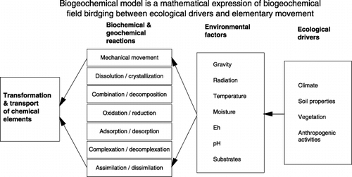 Figure 2  Biogeochemical field consists of seven environmental factors and bridges between the ecological drivers (e.g. climate, soil, vegetation and anthropogenic activity) and the biochemical or geochemical reactions that determine elemental coupling, decoupling and cycling in ecosystems.