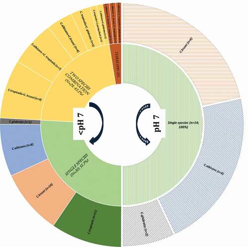 Figure 2. Candida species habitation at <pH 7 (acidic) and pH7 of deep-dentine caries lesions -ICDAS caries code 5 and 6