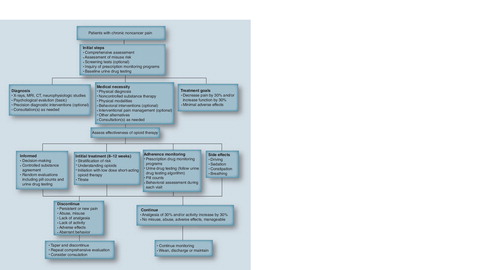 Figure 7. Guidance to opioid therapy.CT: Computed tomography.Adapted with permission from Citation[5].