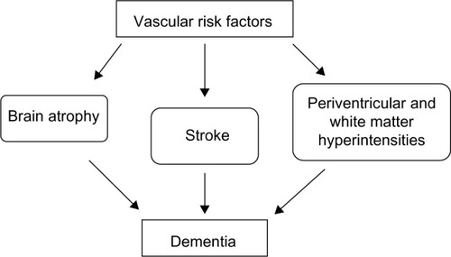 Figure 2 The potential role of vascular risk factors in the development of dementia in elderly patients.