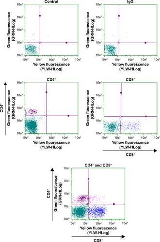Figure S4 Flow cytometry gating pattern of control, IgG isotype, CD4+, CD8+, and CD4+CD8+ cells.