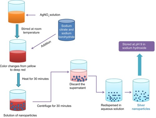 Figure 3 Preparation of silver nanoparticles using a citrate synthesis method.