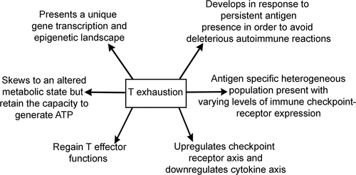 Figure 1. Summary of hallmarks of T cell exhaustion