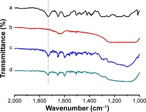 Figure 5 FT-IR spectra.Notes: The spectra are shown for FF (a), the MSNs (b), the physical mixture of FF and MSNs (c), and the FF-MSN (1:3) solid dispersion (d).Abbreviations: FF, fenofibrate; FF-MSN, fenofibrate-loaded mesoporous silica nanoparticle; FT-IR, Fourier-transform infrared; MSN, mesoporous silica nanoparticle.