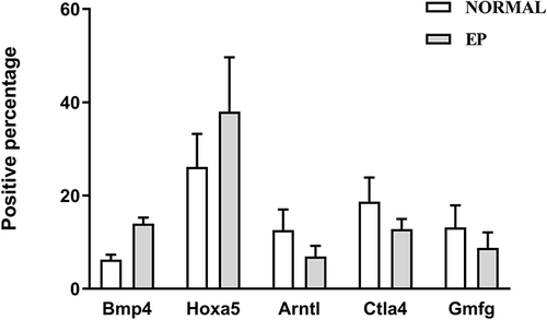 Figure 8 The percentage of each indicator-positive cell in the lung in the NORMAL and EP groups.