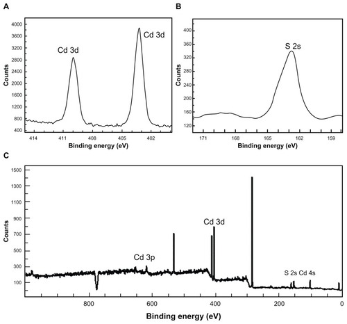 Figure 4 X-ray photoelectron spectroscopy analysis of cadmium (Cd) sulfide (S) QDs showing Cd (A) and S peaks (B) and of wide (C), respectively.