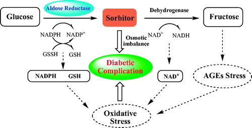 Figure 1. Polyol pathway and pathogenesis of diabetic complications.