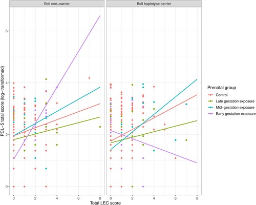 Figure 2. Visualisation of PTSD symptom severity scores as a function of BclI haplotype carrier status, prenatal famine exposure and adulthood trauma. The association between the number of trauma types experienced during adulthood (LEC total score) and PTSD symptom severity (log-transformed PCL-5 total scores) is depicted for each prenatal exposure group and controls separately, divided into non-carriers (left panel) and BclI haplotype carriers (homozygous or heterozygous, right panel).