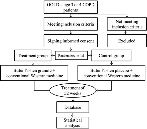 Figure 1 Study trial procedure.