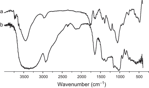 Figure 1.  FT-IR spectra of PA (a) and pullulan (b).