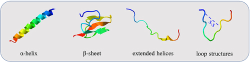 Figure 1 Four secondary structures of antimicrobial peptides.