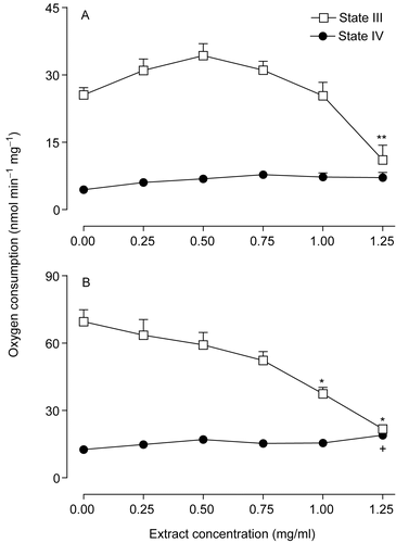 Figure 1.  Effects of the extract of Arrabidaea chica on the respiratory activity of isolated rat liver mitochondria driven by β-hydroxybutyrate (A) and succinate (B). Each data point is the mean ± SEM of 6 independent experiments. +p < 0.05, **p < 0.01, *p < 0.001, ANOVA with Newman-Keuls test.