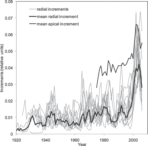 FIGURE 4 The radial (N  =  13, h ≈ 2.6 m, A ≈ 74 yr) and apical (N  =  28, h ≈ 5.8 m) dynamics of “post-krummholz” larch tree growth increment.