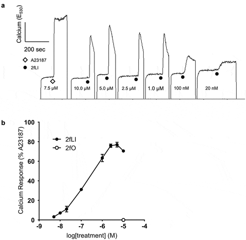 Figure 2. PAR2-activating peptide 2fLI induces calcium signaling. A: Fluorescence responses resulted from the addition of varying concentrations of PAR2-activating peptide 2fLI were standardized relative to the peak fluorescence elicited by the addition of calcium ionophore A23187 (7.5 µM). The addition inactive reverse-sequence peptide 2fO (10 µM) did not elicit a response. B: 2fLI concentration response curve (n = 5).