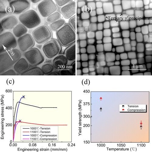 Figure 1. (a) Bright-field (BF) TEM image illustrating the γ/γ′ microstructure in PWA1483 after SHT; (b) HAADF image displaying the γ′ precipitates in PWA1483 after SHT; (c) typical engineering stress-strain curves of the [001]-orientated SC nickel-based superalloy PWA1483 in compression and tension at high temperatures; (d) tensile and compressive yield strength at 1000 and 1100 °C. With respect to the compressive stress-strain curves, the extensometer was not used during the tests. The crosses manifest that compression tests are broken off.