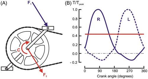 Figure 17. In A decomposition of the force F1 exerted on the pedal into a force F2 exerted on the crank shaft and a couple C; in B comparison of the mean torque (red line) and the torques exerted on the left (blue dashed line, L) and right crank (blue continuous line, R) during a pedal revolution.
