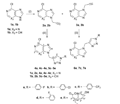 Scheme 1. Synthesis of novel purine and 3-deazapurine derivatives with N-1 substituted 1,2,3-triazole. Reagents and conditions: (i) propargyl bromide, NaH, DMF, Ar atmosphere, 60 °C, 24 h; (ii) corresponding azide, Cu, 1 M CuSO4 solution, tert-butanol: H2O = 1: 1, MW 300 W, 80 °C, 45 min.