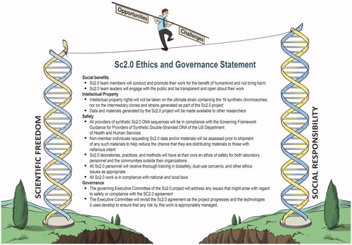 Figure 21. Balancing scientific freedom and social responsibility with a project-level agreement and ethics and governance statement to guide the international Synthetic Yeast Genome (Sc2.0) Project (adapted from Silva et al. [Citation3]).