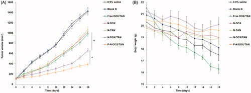 Figure 7. In vivo anti-tumor efficacy (A) and body weight changes (B) during treatment. Data presented as means ± SD. *p < .05.