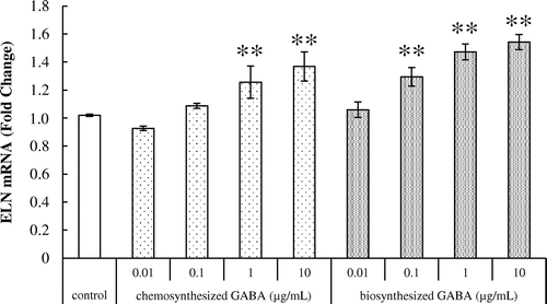 Fig. 2. Effects of GABA on tropoelastin mRNA expression in HDFs. Cells were cultured for 24 h with various concentrations of chemosynthesized and biosynthesized GABA. The expression level of tropoelastin transcript was analyzed by real-time PCR. Each datum represents the mean ± SD of three independent experiments. Results are compared to control, and significant difference is indicated by an asterisk (**p < 0.01).