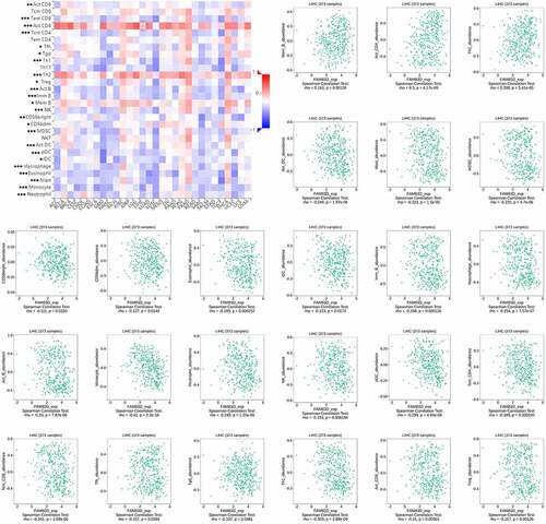 Figure 6. Association between FAM83D expression and immune cell infiltration levels via TISIDB network tool. The black asterisks in the correlation heatmap indicated immune cell types significantly associated with FAM83D expression levels in TCGA. *P < 0.05; **P < 0.01, ***P < 0.005