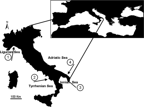 Figure 1. Sampling locations: 1, Genoa; 2, Maratea; 3, San Isidoro; 4, Torre Guaceto.