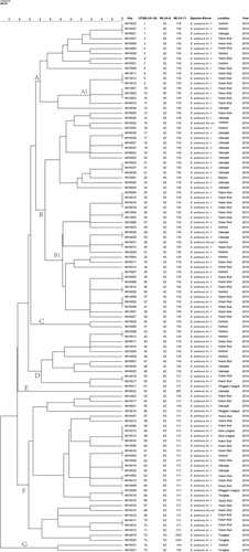 Figure 5. Dendrogram based on the multilocus variable-number tandem-repeat analysis (MLVA)-16 genotyping assay (unweighted pair group method with arithmetic mean (UPGMA) method), showing relationships between 107 B. melitensis isolates. Columns show identification numbers (Key), MLVA-16 genotypes (GT), panel 1 genotypes and MLVA-11 (panels 1 and 2A) genotypes, species biovar and the year in which strains were isolated.