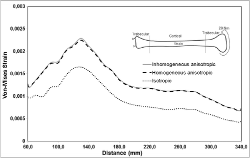 Figure 11. Maximum von Mises strain distribution under torsional loading.