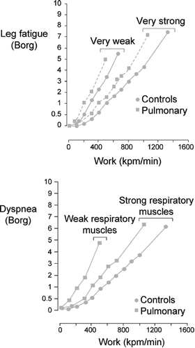 Figure 1 Dyspnea and leg fatigue Borg scores during incremental cycling exercise in healthy individuals and in patients with respiratory diseases. Adapted with permission from Hamilton et al. AJRCCM 1995; 152:2021–2031.