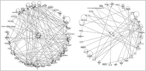 Figure 3. Gene networks involved in the analyses of males with HCB exposure. The genes neighboring the significant CpG sites (with greater than 100% change of beta value per unit of HCB change and with more than 1 significant CpG site per gene) were subjected to pathway analyses. Left panel shows the top network involved: gene expression, reproductive system development and function, cell-to-cell signaling and interaction. Right panel shows the next top network involving cellular function and maintenance, cancer, organismal injury and abnormalities.