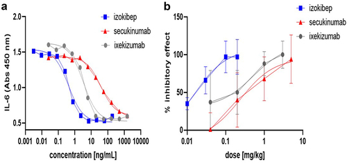 Figure 2. Izokibep – superior potency in in vitro cell-based assays and in vivo murine model relative to secukinumab and ixekizumab. (a) Potency of izokibep, secukinumab, and ixekizumab in an NHDF cell assay, stimulated with 64 pM IL-17A and 10 fM IL-1beta. All compounds inhibit the IL17Ainduced IL-6 production in a dose-dependent manner. IC50 values generated were 0.4, 3.5, and 41 ng/mL for izokibep, ixekizumab, and secukinumab, respectively. (B) Izokibep prevents the KC secretion in response to stimulation by IL-17A in vivo. KC concentrations were determined by ELISA using a KC-quantification kit. Doses indicated on the x-axis are given in mg/kg and the response on the y-axis in % inhibition ± SD. n = 6 animals per compound and dose level.