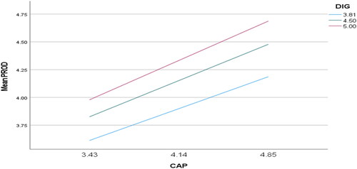 Figure 6. Moderation effect CAP*DIG relationship on productivity.