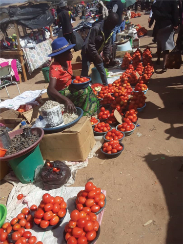 Photo 1. Informal food vendors usually lack adequate infrastructure in the face of heat or other weather extremes, such as this vegetable trader in Masvingo. (Source: T. Mazhambe).