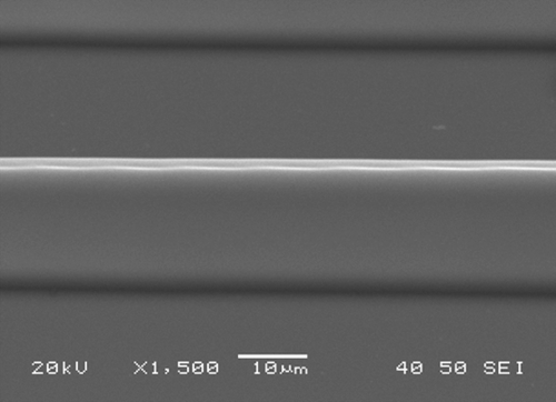 Figure 7 Polymerized feature on a silicon substrate having a height of 15 μm and width of 2 μm, at 0.104 W laser power, 214 fs pulse width, and 5.0 mm/s scanning speed.