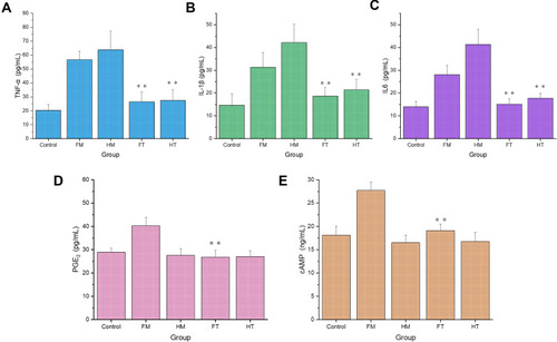 Figure 7 Serum concentrations of (A) tumor necrosis factor (TNF)-α; (B) interleukin (IL)-1β; and (C) IL-6. The concentrations of (D) PGE2 and (E) cAMP in the preoptic anterior hypothalamus (PO/AH). FT group: **p < 0.01 vs FM group; HT group: **p < 0.01 vs HM group.