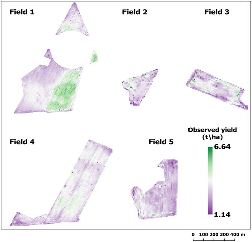 Figure 11. Observed crop yields of the test fields at the pixel level.