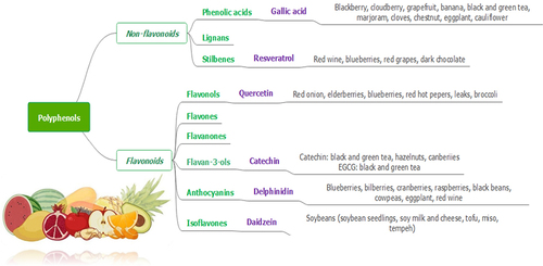 Figure 1. Schematic classification of polyphenols and their natural sources.
