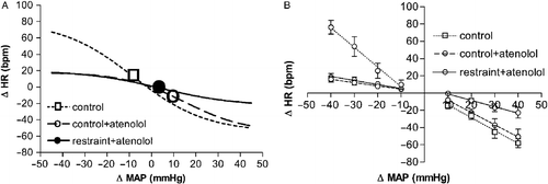 Figure 7  (A) Sigmoid baroreflex curves (n = 5) correlating changes in MAP (ΔMAP) and HR (ΔHR) of responses before (control, ▪; r2 = 0.78) or after intravenous treatment with the selective β1-adrenoceptor antagonist atenolol (control + atenolol, ○; r2 = 0.81) and during restraint stress in atenolol-treated rats (restraint + atenolol, •; r2 = 0.80). Symbols indicate the curve BP50. (B) Linear regression curves (n = 5) correlating ΔMAP and ΔHR of control (dotted lines), control + atenolol (dashed lines) and restraint + atenolol (solid lines) groups. Correlation r2 values for bradycardiac regression curves were 0.69 for control; 0.75 for control + atenolol and 0.74 for restraint + atenolol. Correlation r2 values for tachycardiac regression curves were, 0.50 for control; 0.59 for control + atenolol and 0.78 for restraint + atenolol. One-way ANOVA followed by Bonferroni's post-test was used to compare differences on cardiac baroreflex response in atenolol-treated rats (See Results): Restraint stress evoked a rightward displacement of the bradycardiac response (P < 0.005) with no changes in the tachycardiac baroreflex response in atenolol-treated rats.