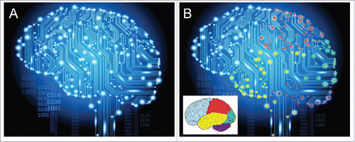 Figure 5. Visualization of the idea of “the electrome of the human brain.” (A) How a wallpaper manufacturerCitation23 depicts activity in the brain. (B) By adding color to some major brain parts, the electrical heterogeneity of the brain is emphasized. In reality each of the approximately 100 billion neurons of the human brain has its own individualized electrome, but such unimaginably high complex system cannot be graphically represented. One should also take into account that the brain does not operate independently from the other cells of the body. The authors of “The embodied Mind”Citation24 pointed to the fact that conceptually brain and body are one, and that one cannot fully understand the functioning of the brain if it is isolated from the other parts of the body. Evidently, the brain is more vital than some other organs because of its coordinating functions. With respect to physics: the ampere is the SI unit for both inorganic ion- and electron-based electric current.