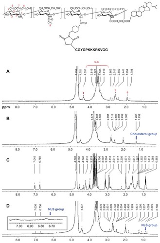 Figure 2 Proton nuclear magnetic resonance spectra of (A) glycol chitosan, (B) cholesterol-modified glycol chitosan (CHGC), (C) nuclear localization signal (NLS) (Ac-CGYGPKKKRKVGG), and (D) NLS-conjugated cholesterol-modified glycol chitosan (NCHGC).
