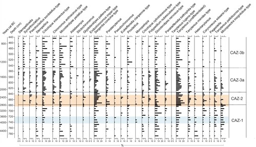 Figure 2. Relative percentage chironomid abundance plotted against sediment depth and corresponding age axis and divided into statistically significant chironomid assemblage zones (CAZ). Taxa arrangement follows RDA Axis 1 scores (lake trophic status). The Neolithic Landnam is highlighted in light blue and the period of most significant erosion is highlighted in orange.