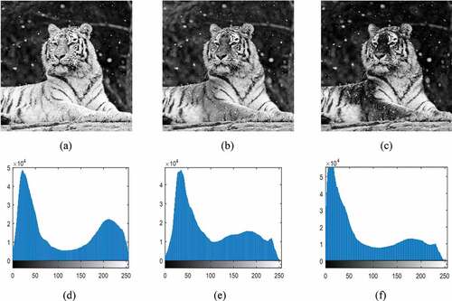 Figure 9. Histogram analysis of RGB components for Tiger image